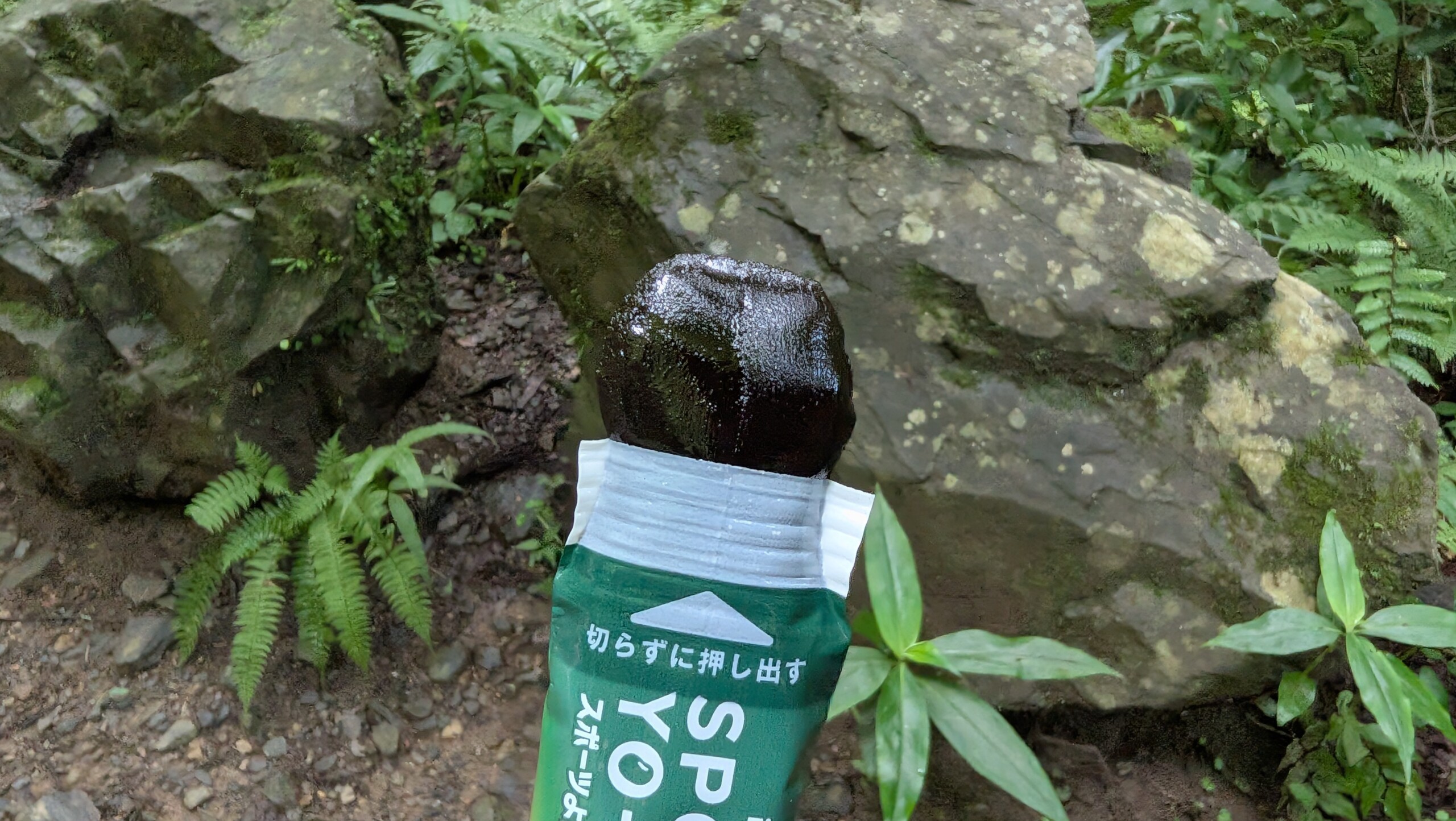 スポーツようかん コーヒー味